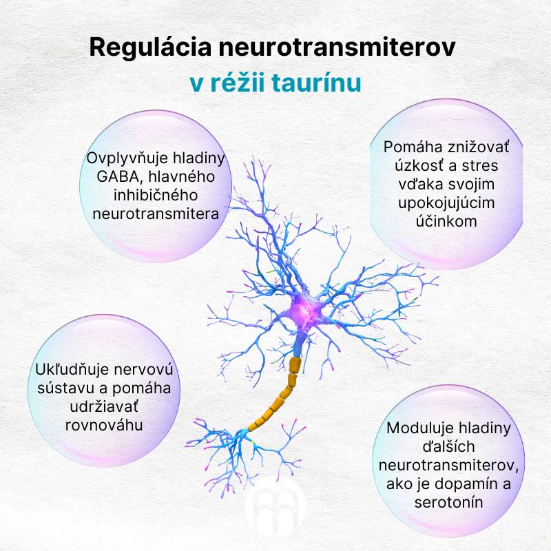 (Slovenčina) Regulace neurotransmiterů v režii taurinu